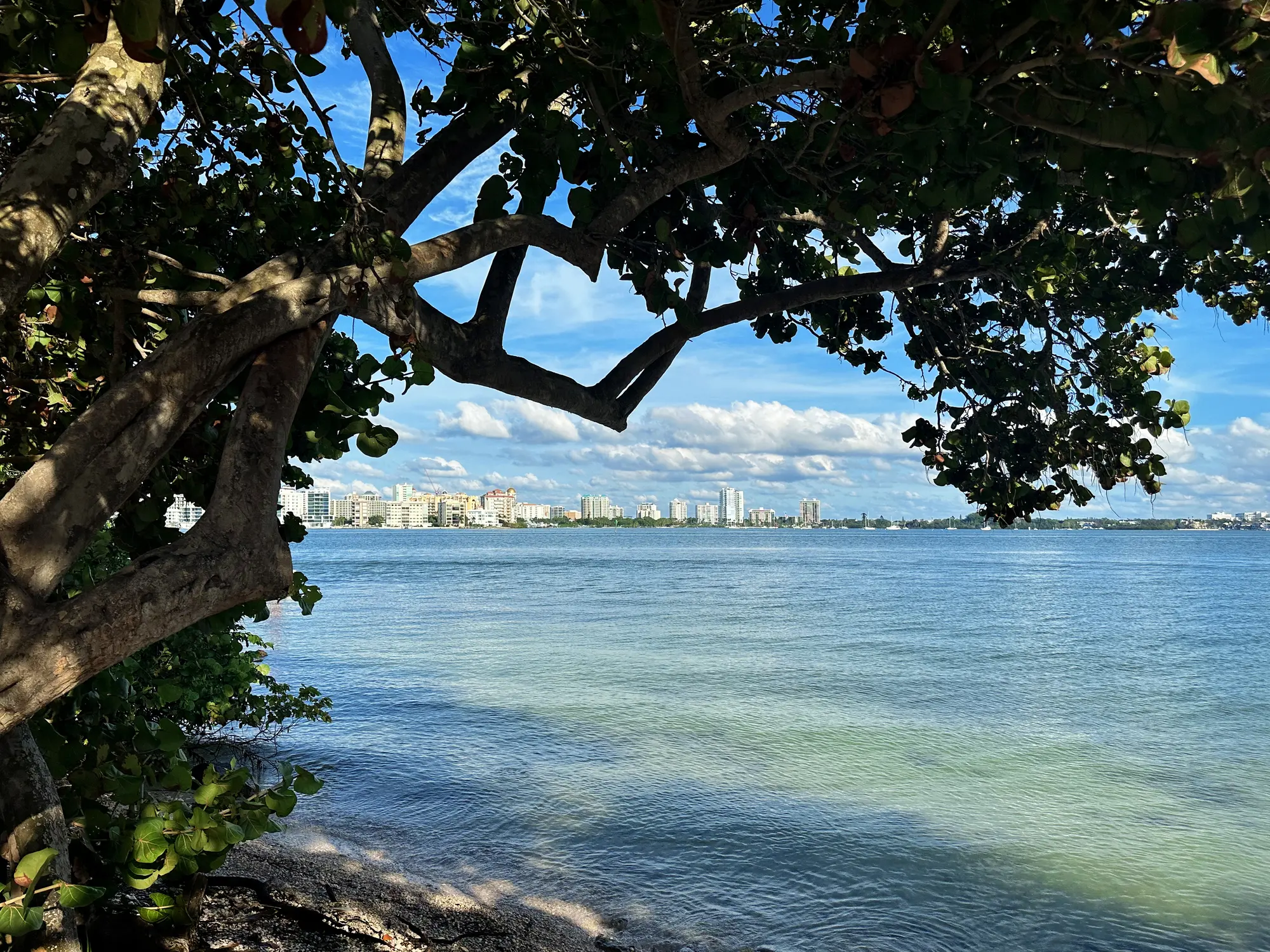 City Scape scene of Greater Tampa Bay Area